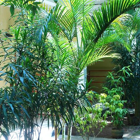Three V Homestay Kuta  Экстерьер фото