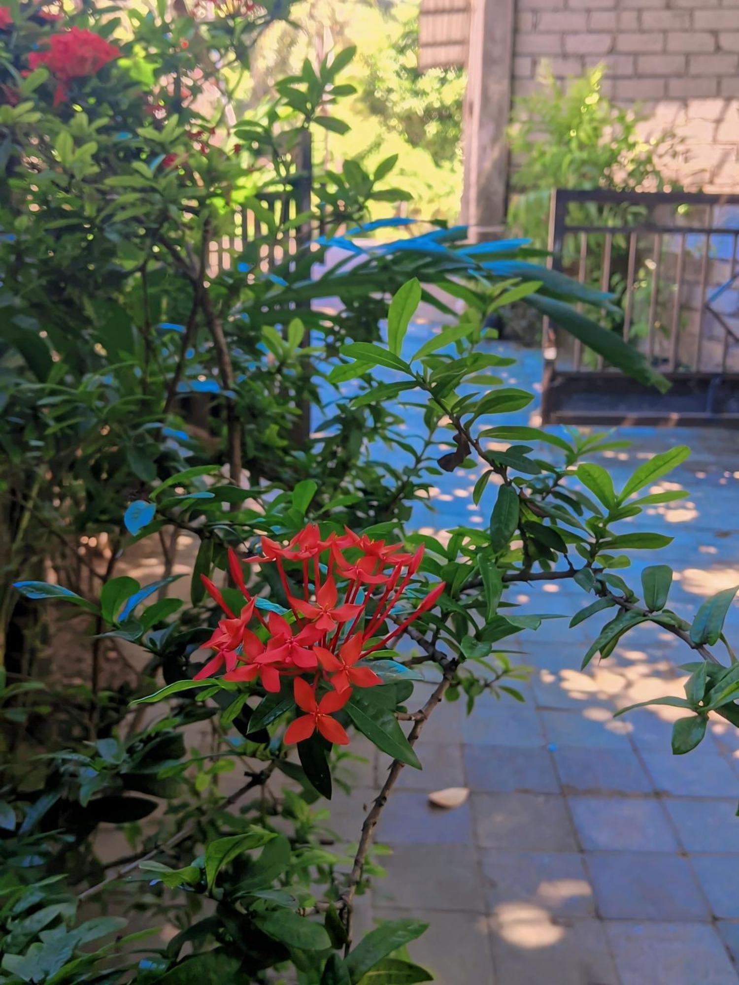 Three V Homestay Kuta  Экстерьер фото