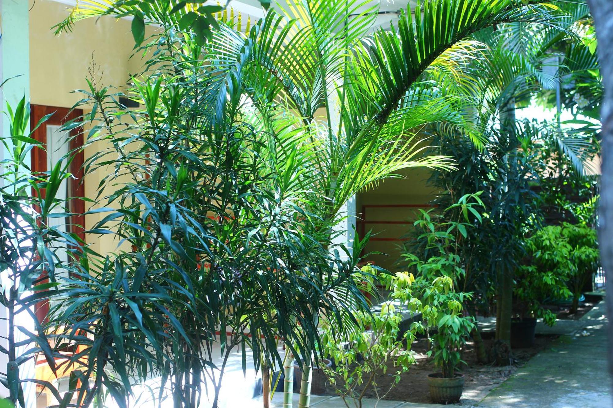 Three V Homestay Kuta  Экстерьер фото