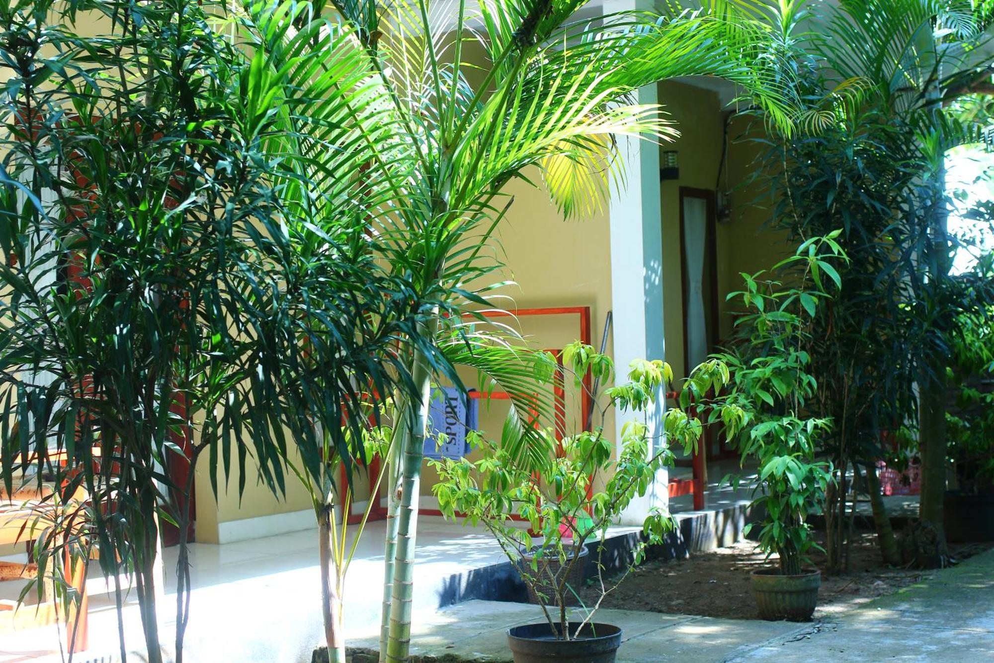Three V Homestay Kuta  Экстерьер фото