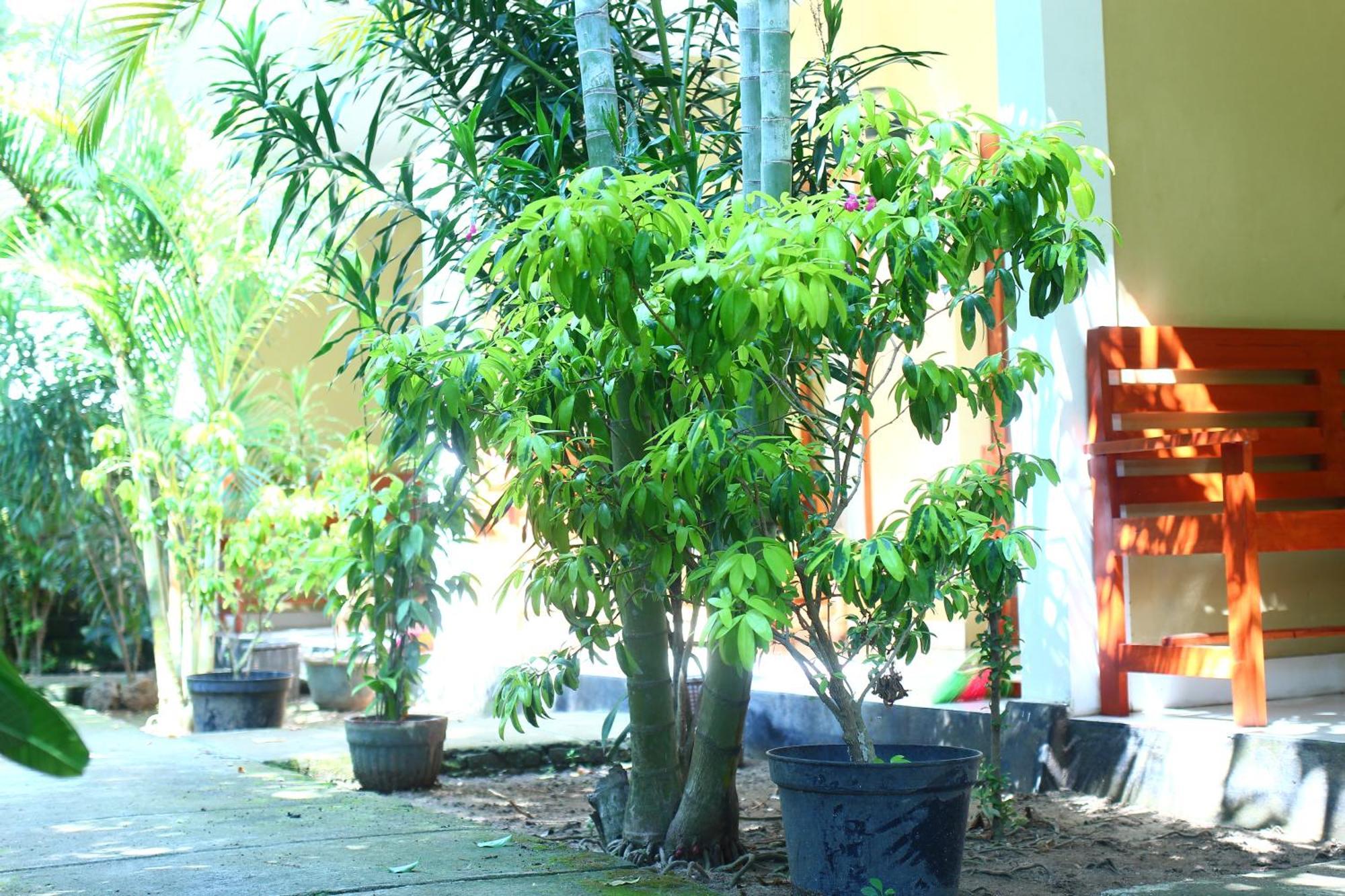 Three V Homestay Kuta  Экстерьер фото