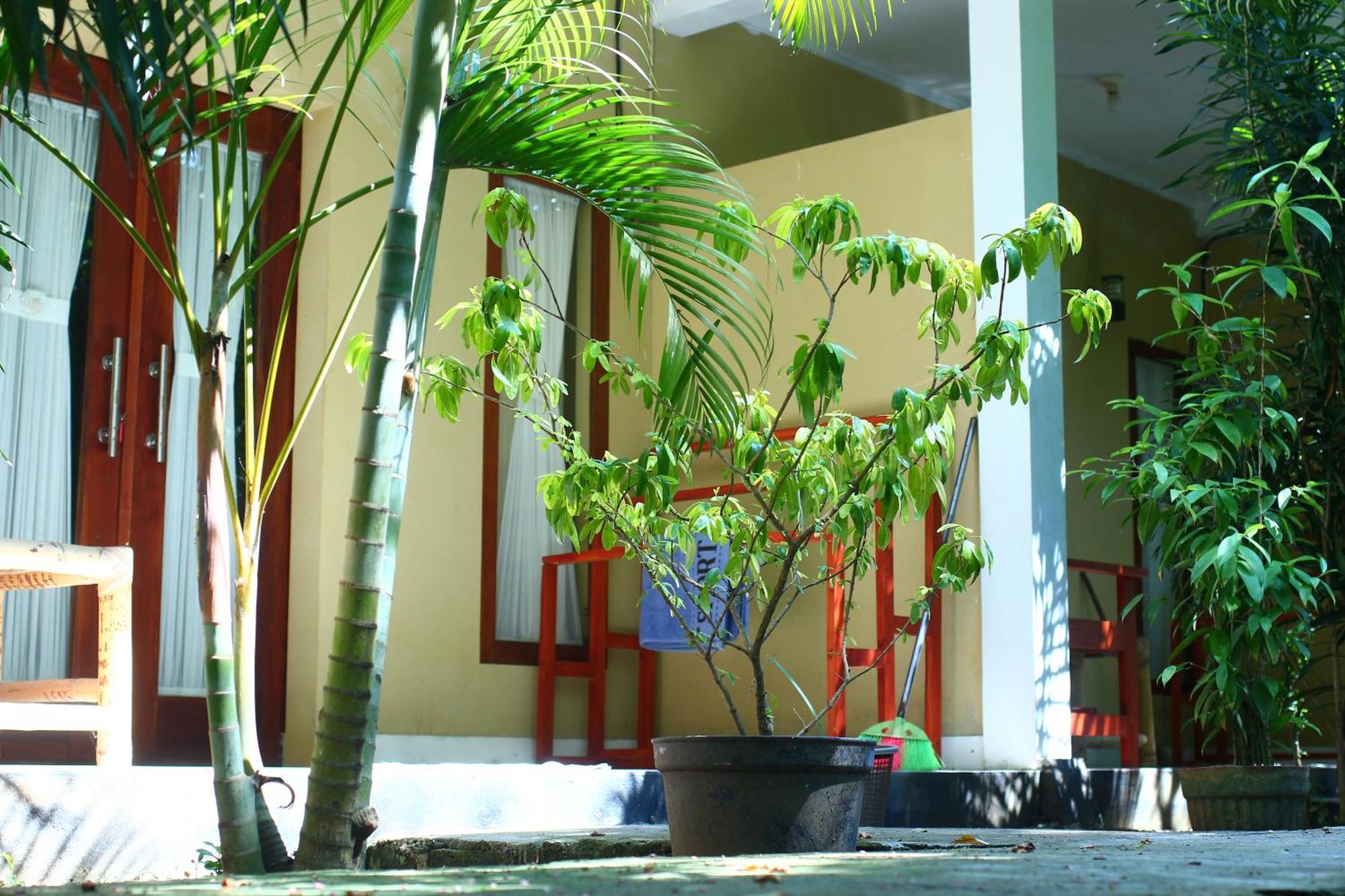 Three V Homestay Kuta  Экстерьер фото