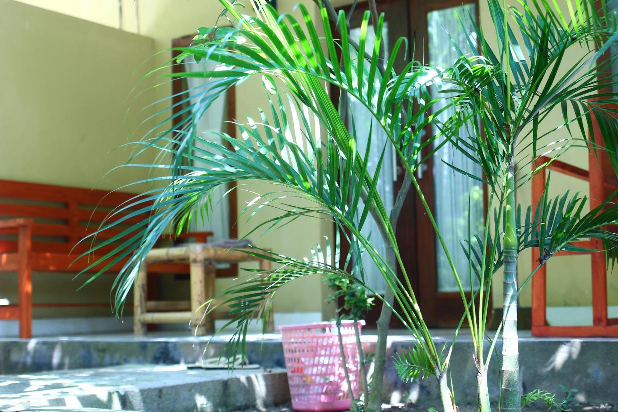 Three V Homestay Kuta  Экстерьер фото