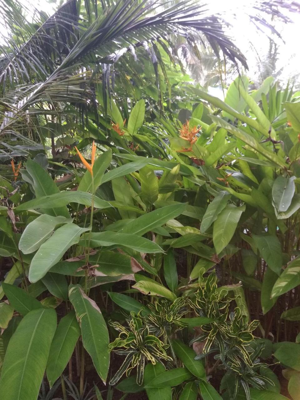 Three V Homestay Kuta  Экстерьер фото